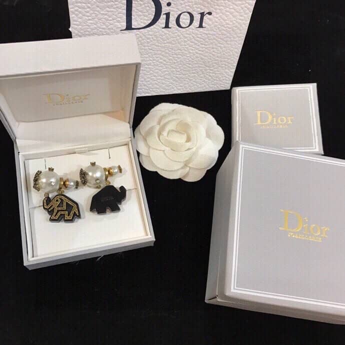 Luxury Chr1st1an D10r Classic AAA+ Earring