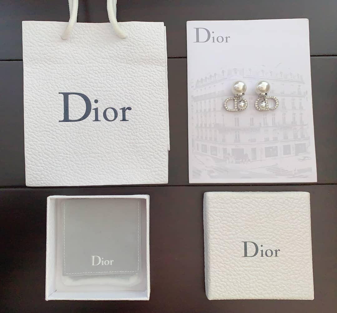 Fake Chr1st1an D10r Logo Earring