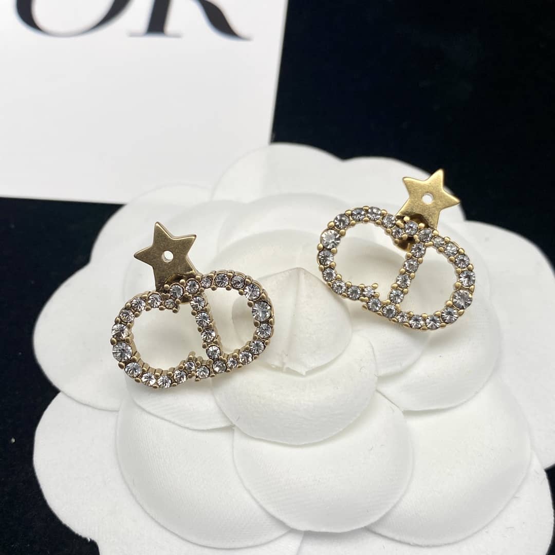 Fake Chr1st1an D10r Logo Earring