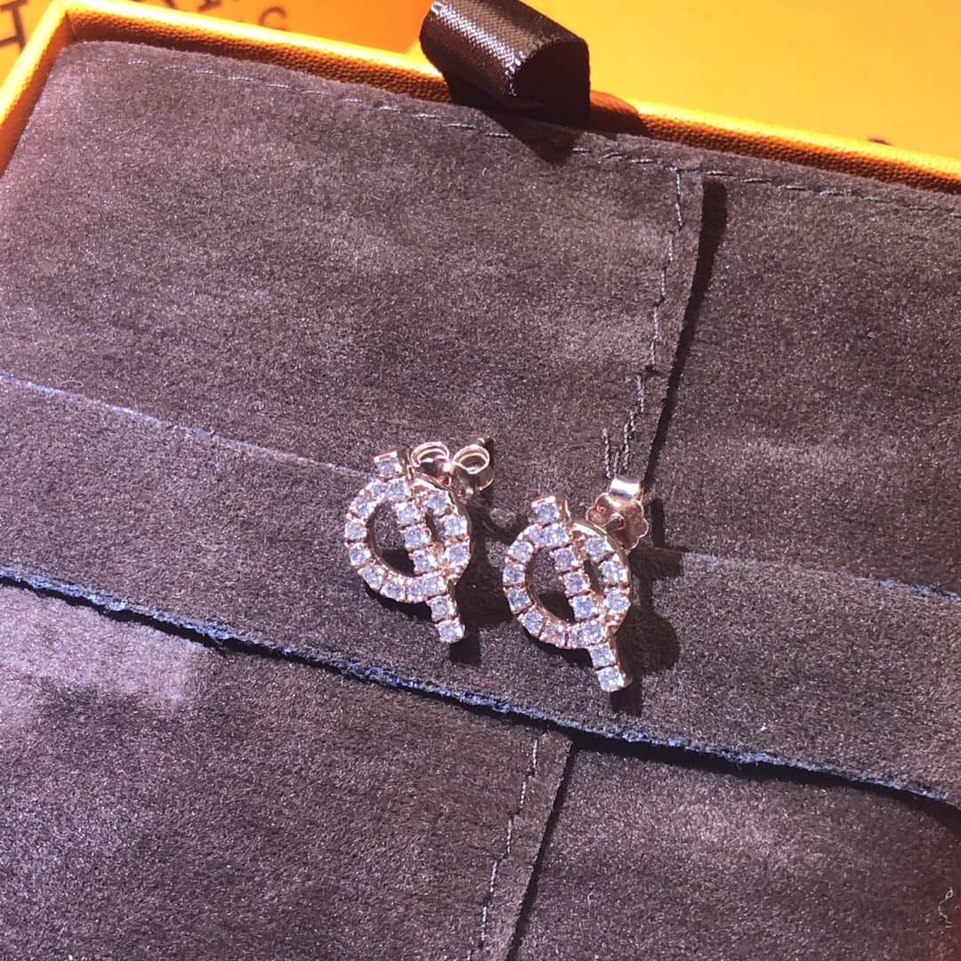 Wholesale H**me5 AAA+ Earring