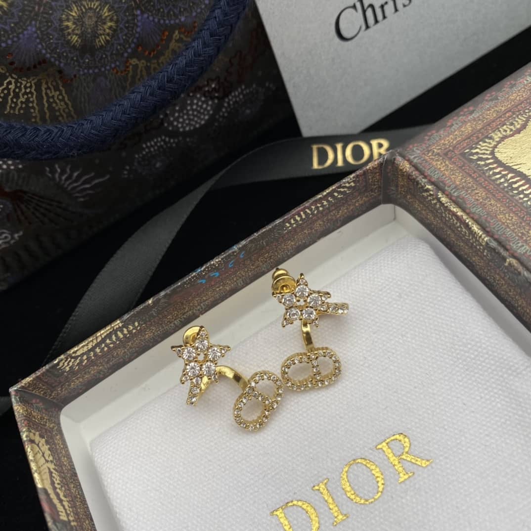 Fake Chr1st1an D10r Logo Earring