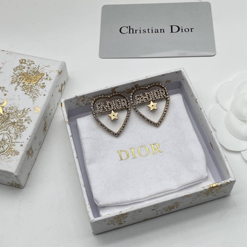 Fake Chr1st1an D10r Logo Earring