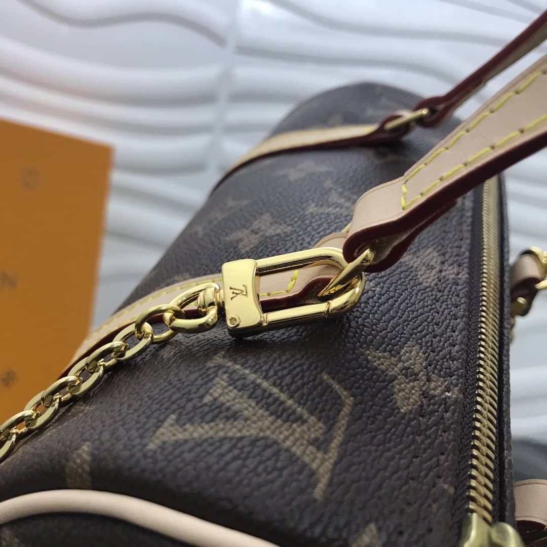 L0vis Vvtt0n Papillon NM Monogram Canvas Replica Handbag