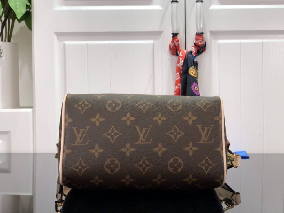 L0vis Vvtt0n Monogram Canvas Speedy 20 Black M45957 Replica Crossbody Bag
