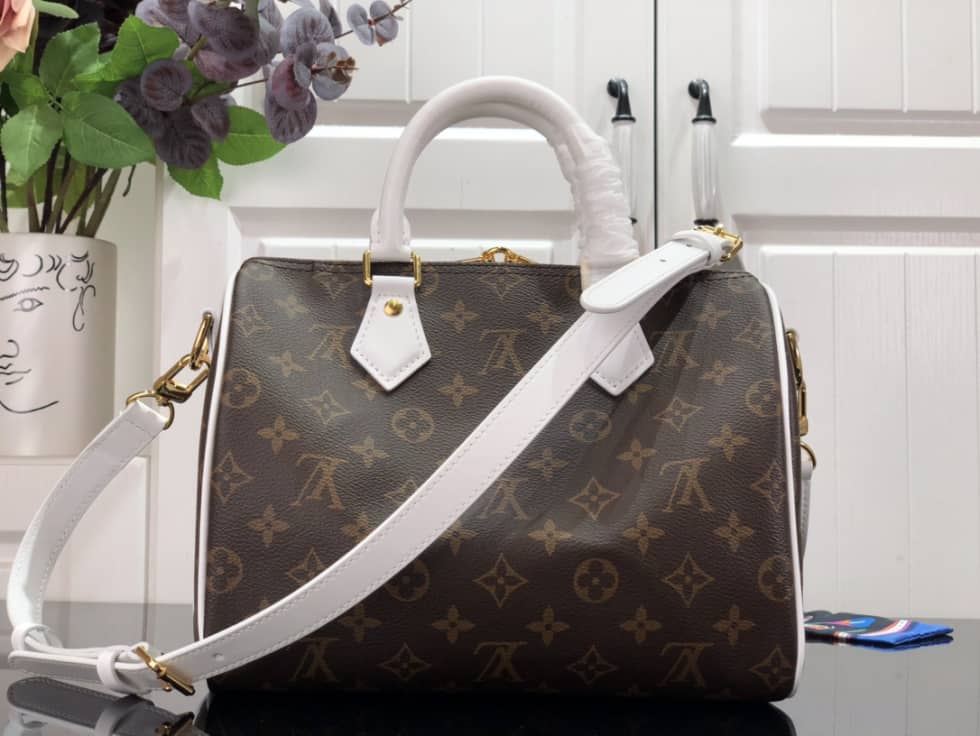 L0vis Vvtt0n Replica Bags Speedy Bandouliere 25 M20754
