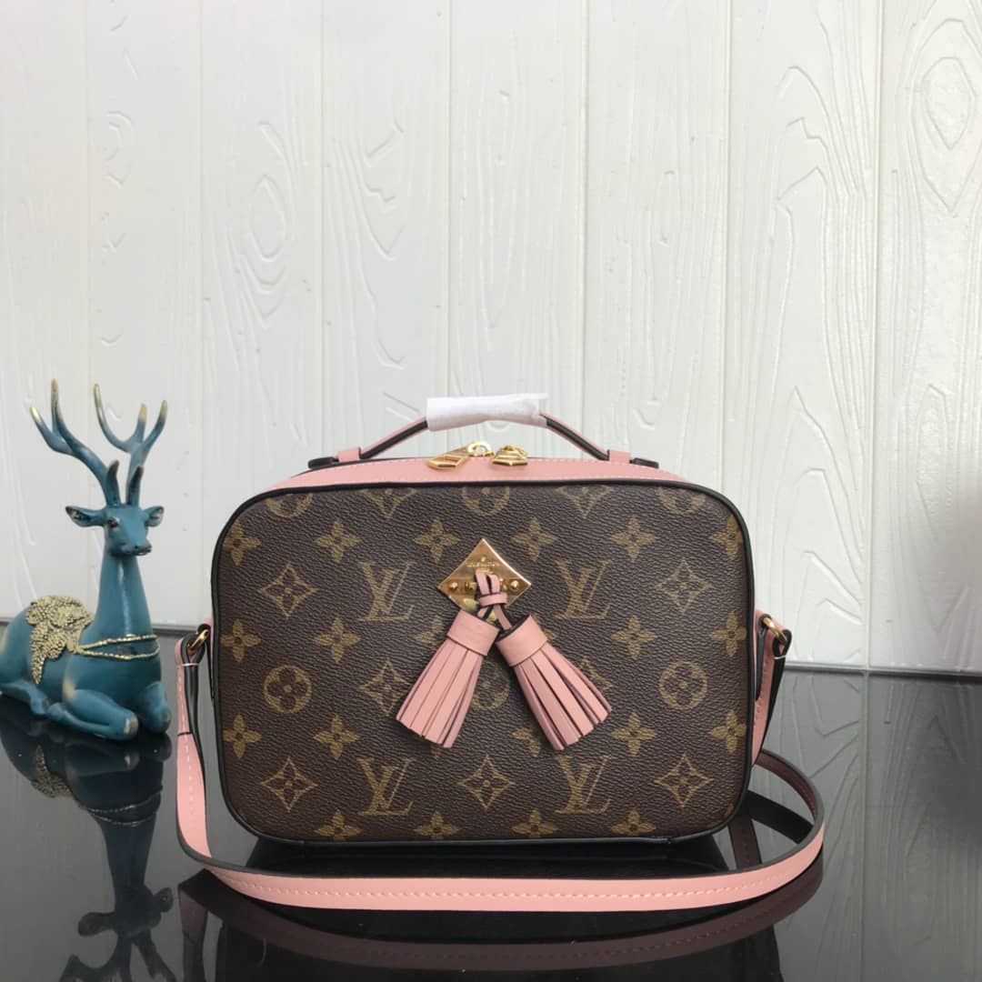 L0vis Vvtt0n Canvas Saintonge Replica Camera Bag Pink M43555