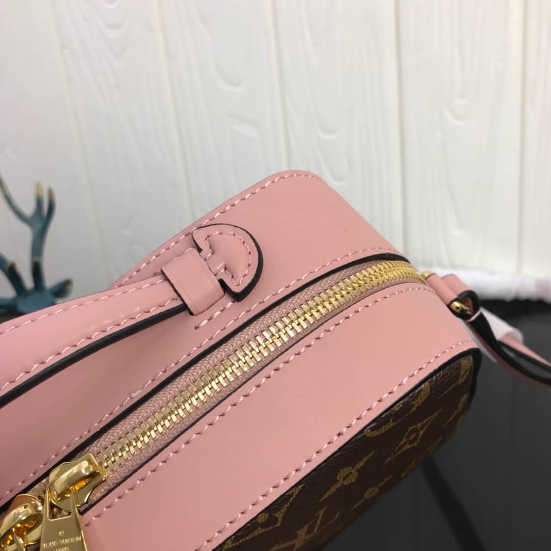 L0vis Vvtt0n Canvas Saintonge Replica Camera Bag Pink M43555
