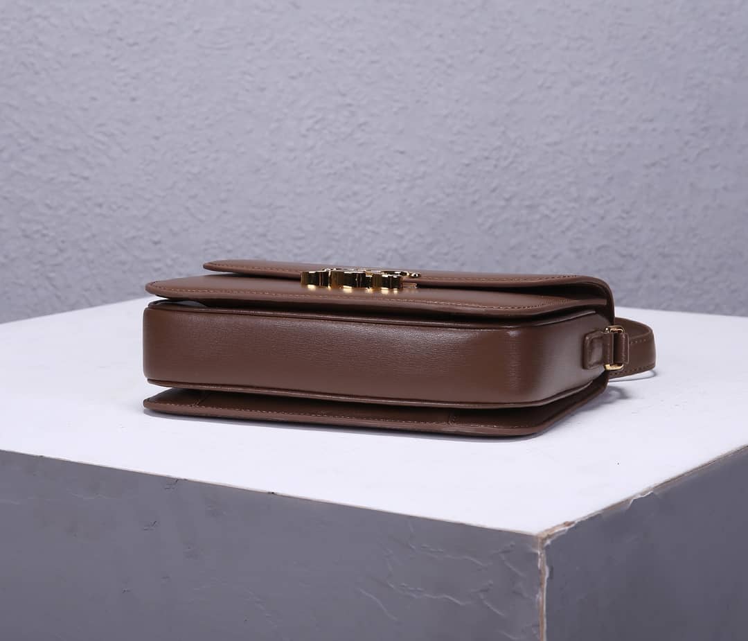 Ce1i*e Bag Dupe Triomphe Micro Luggage