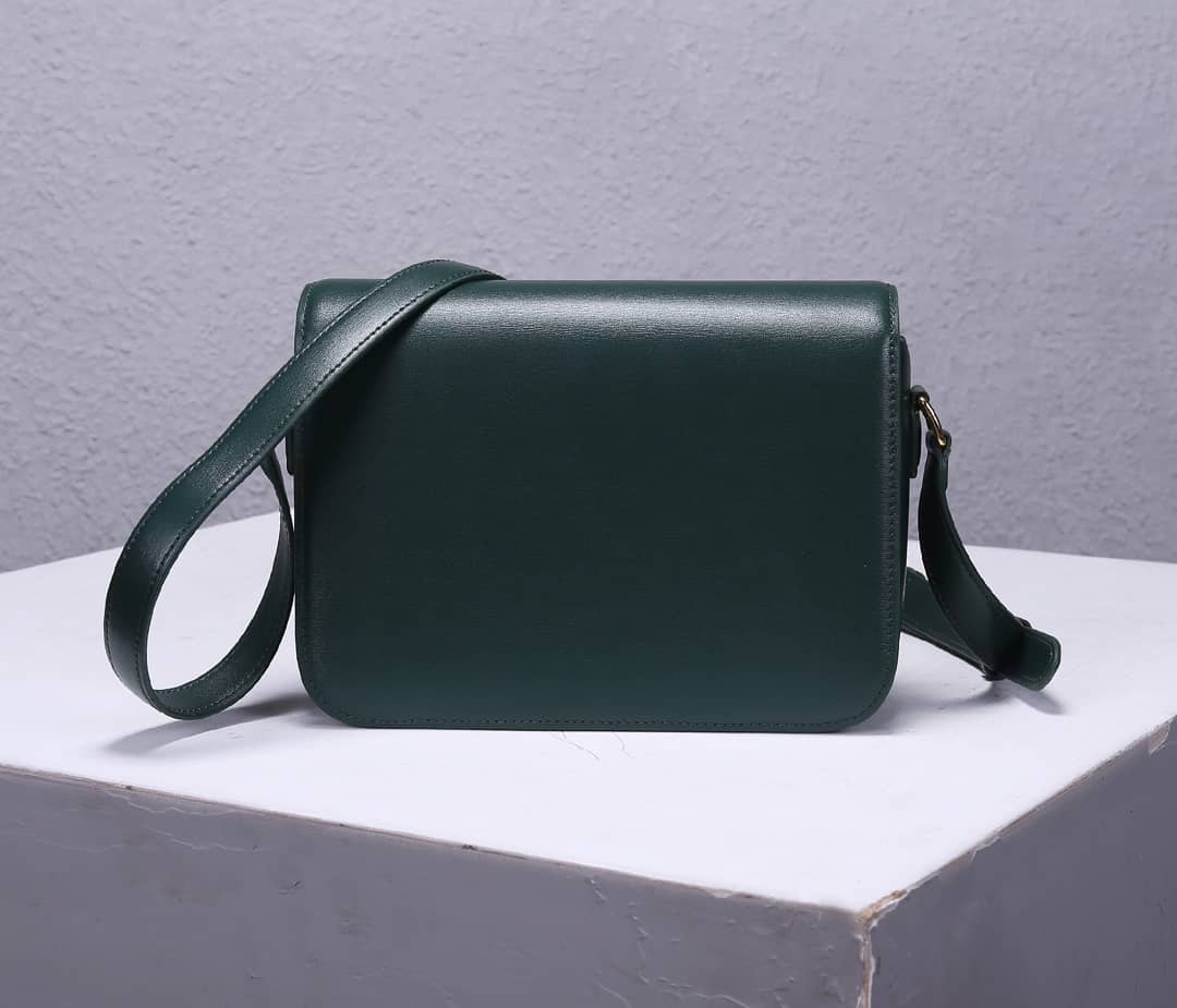 Ce1i*e Bag Dupe Triomphe Micro Luggage