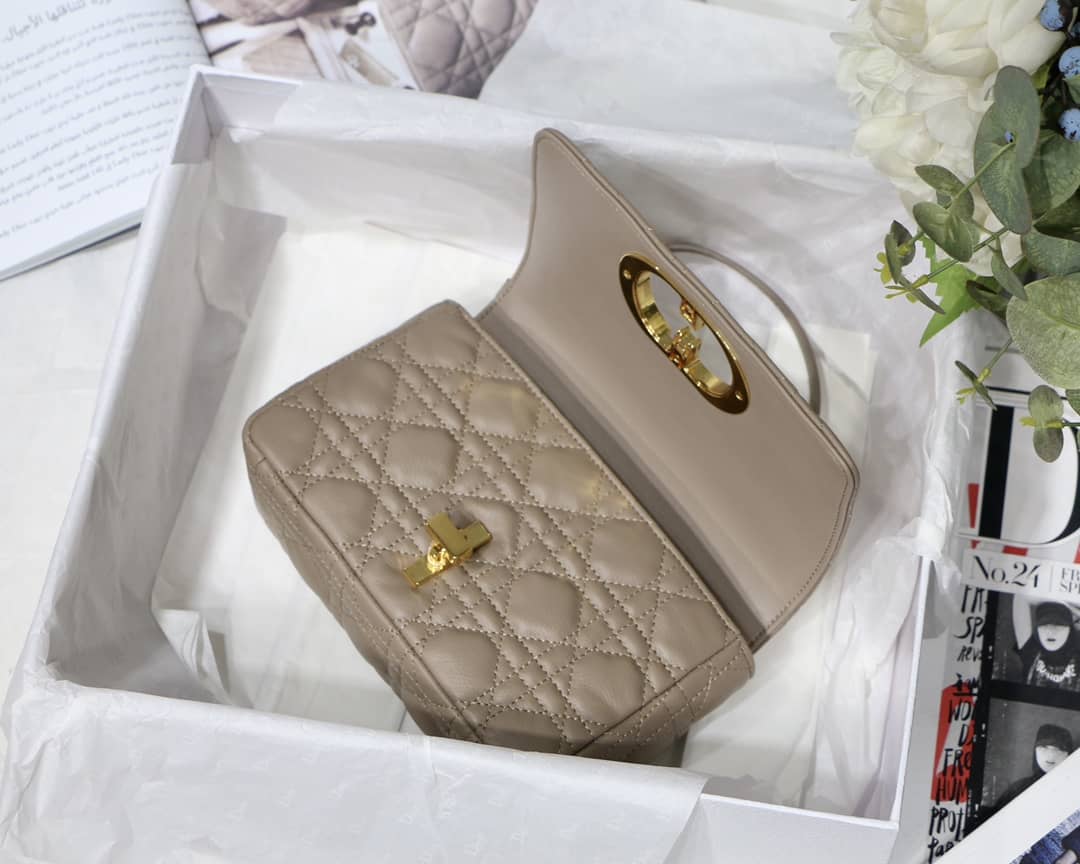 Chr1st1an D10r Caro Replica Bag