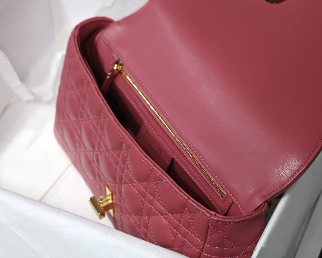 D10r Dupe Caro Bag
