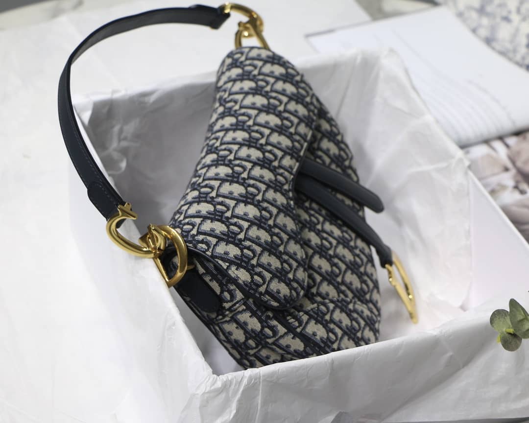 Chr1st1an D10r Saddle 25.5CM Replica Bag