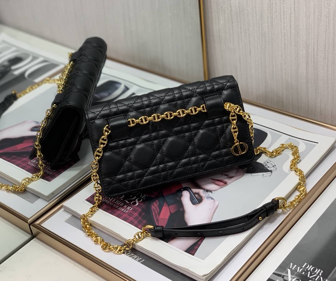 Chr1st1an D10r Caro Chain Belt Replica Pouch