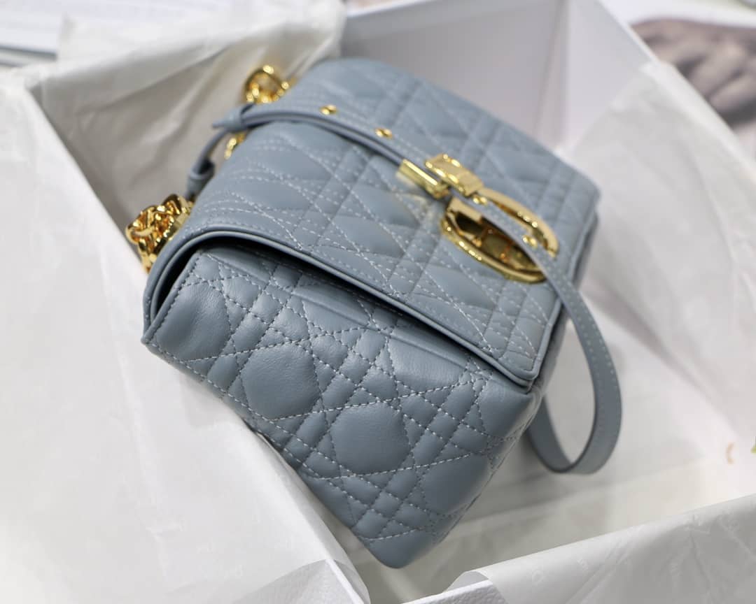 Chr1st1an D10r Caro Replica Bag(Cola)