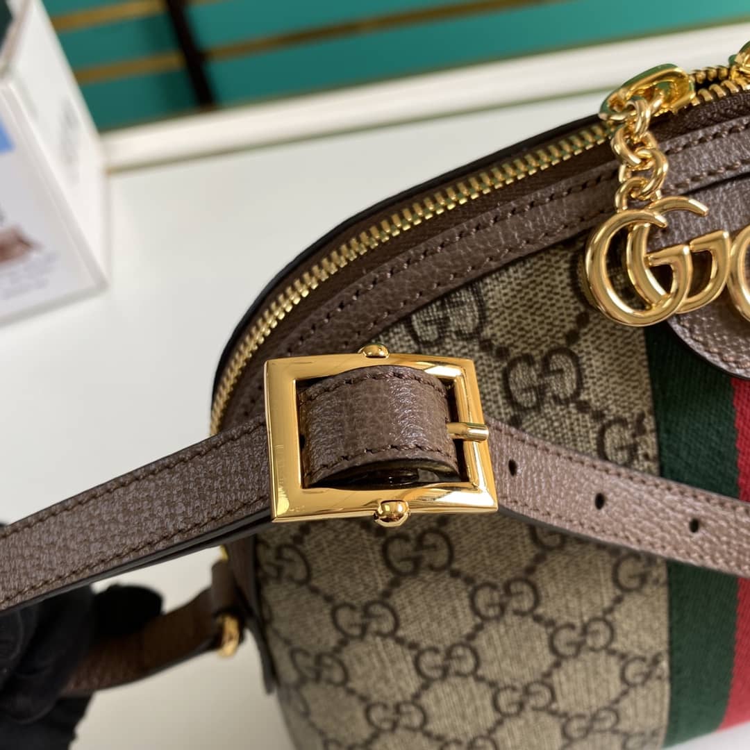 Gvc*1 Ophidia GG Shoulder Crossbody Bag Replica 499621