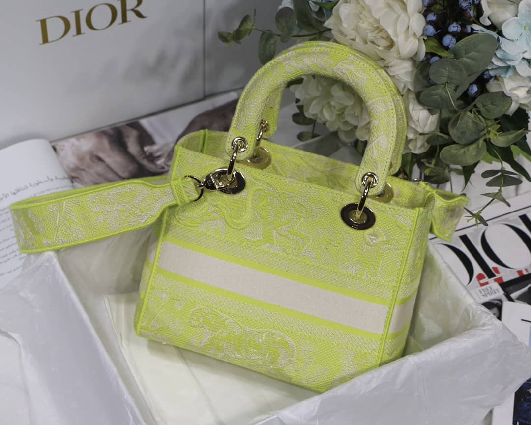 Lady D10r Dupe 24CM Paisley Embroidery Lady D-Lite Bag