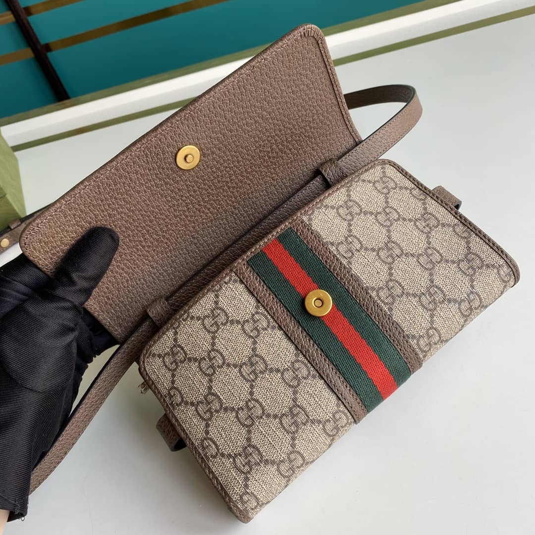 Gvc*1 Ophidia GG Svp*me Fabric Mini Bag 645082