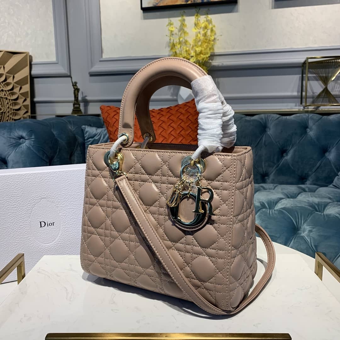 Chr1st1an D10r Lady D10r 24CM Replica Bag