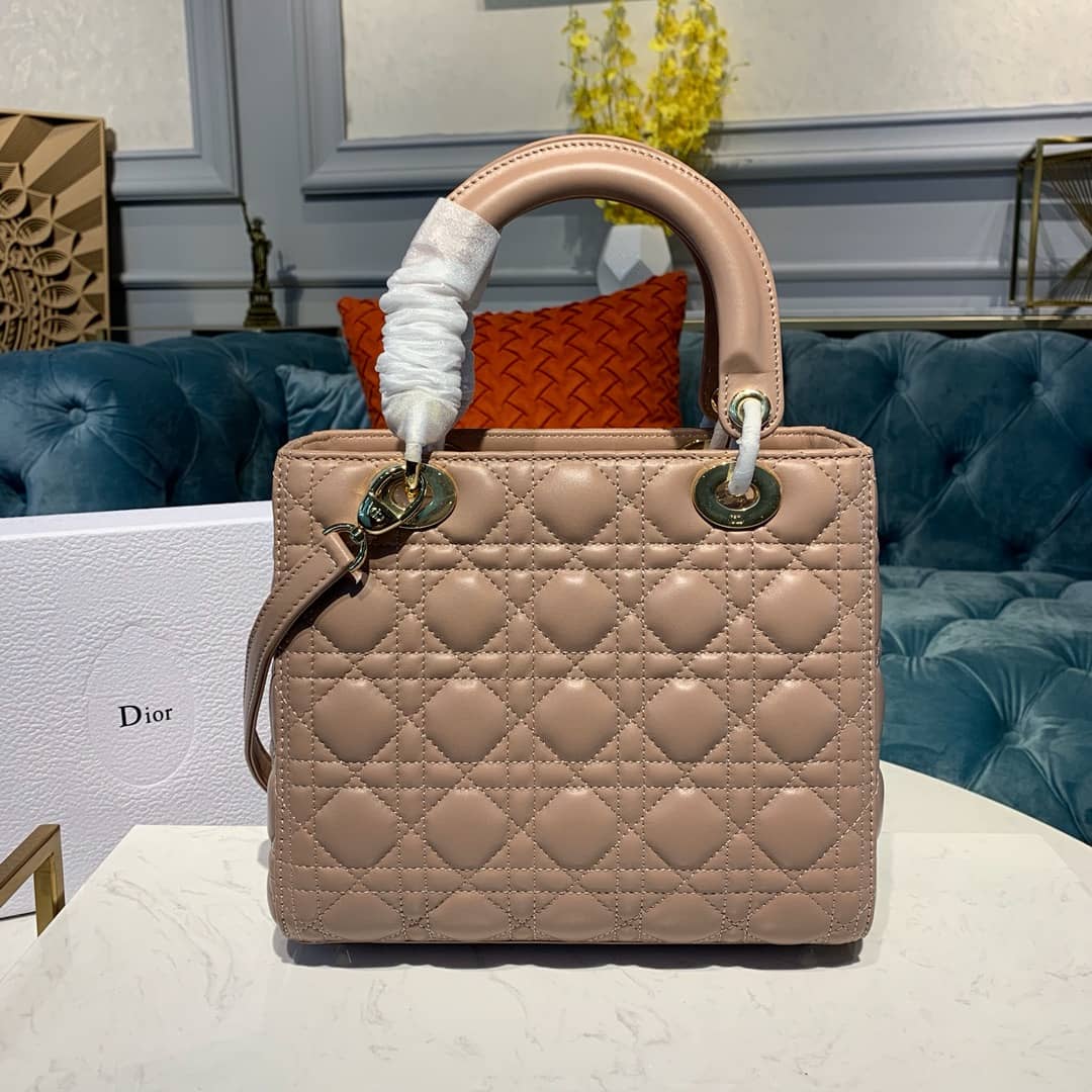 Chr1st1an D10r Lady D10r 24CM Replica Bag