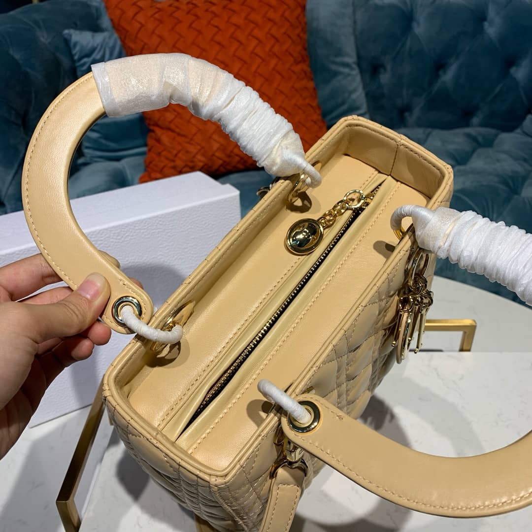 Chr1st1an D10r Lady D10r 24CM Replica Bag