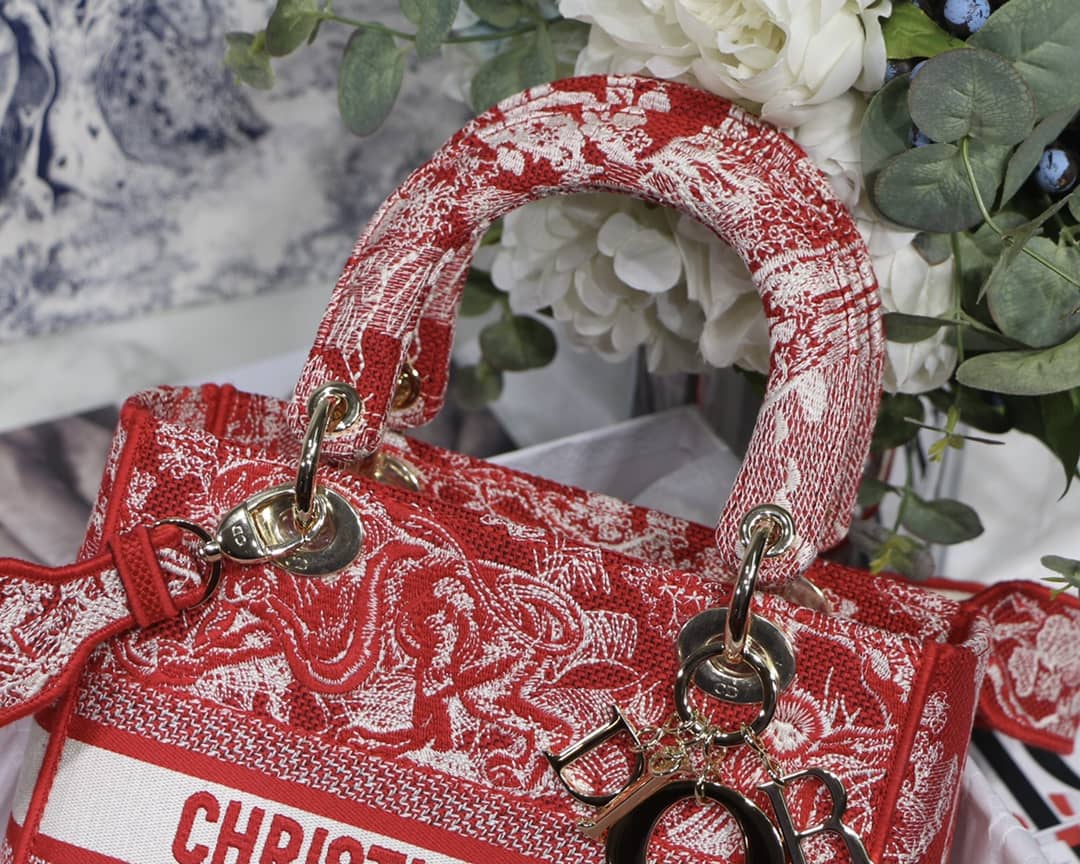Lady D10r Dupe 24CM Paisley Embroidery Lady D-Lite Bag