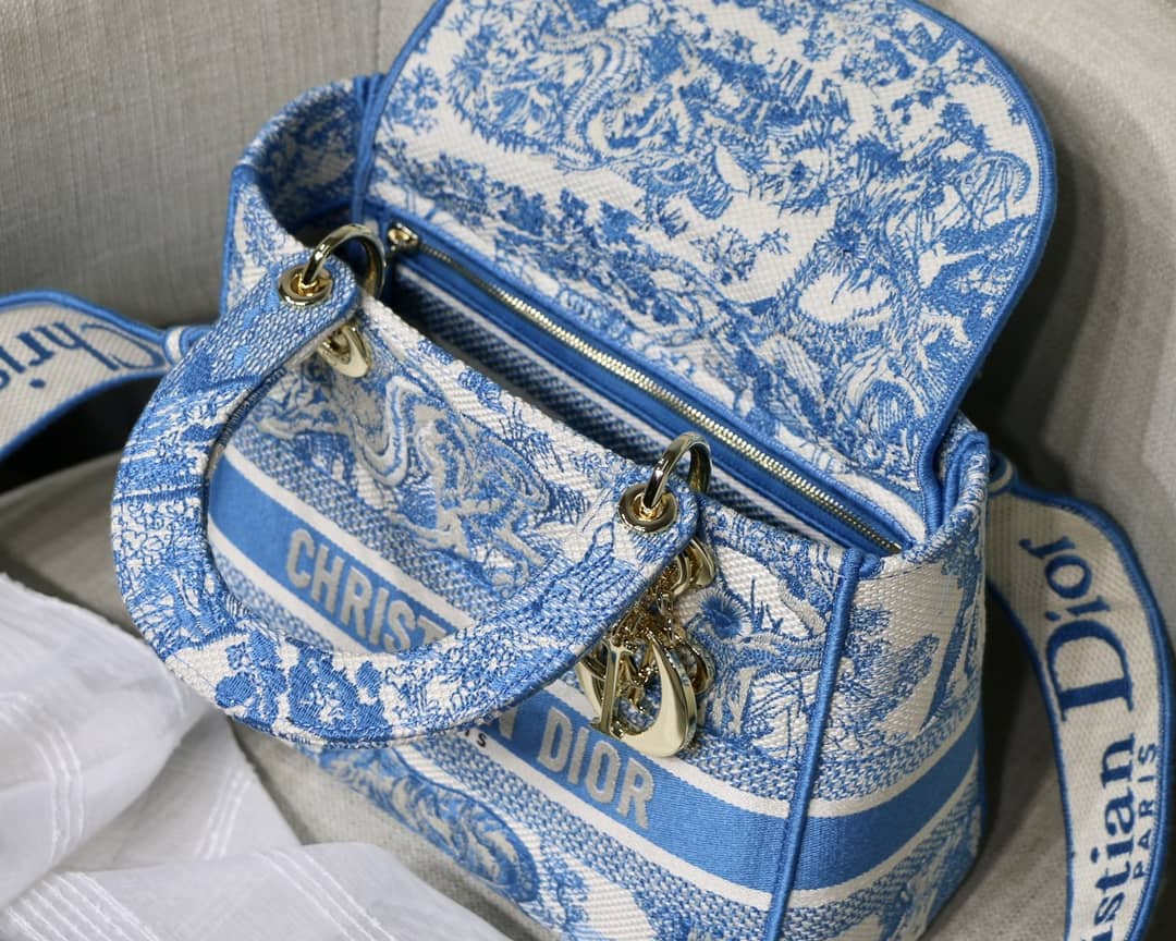 Lady D10r Dupe 24CM Paisley Embroidery Lady D-Lite Bag