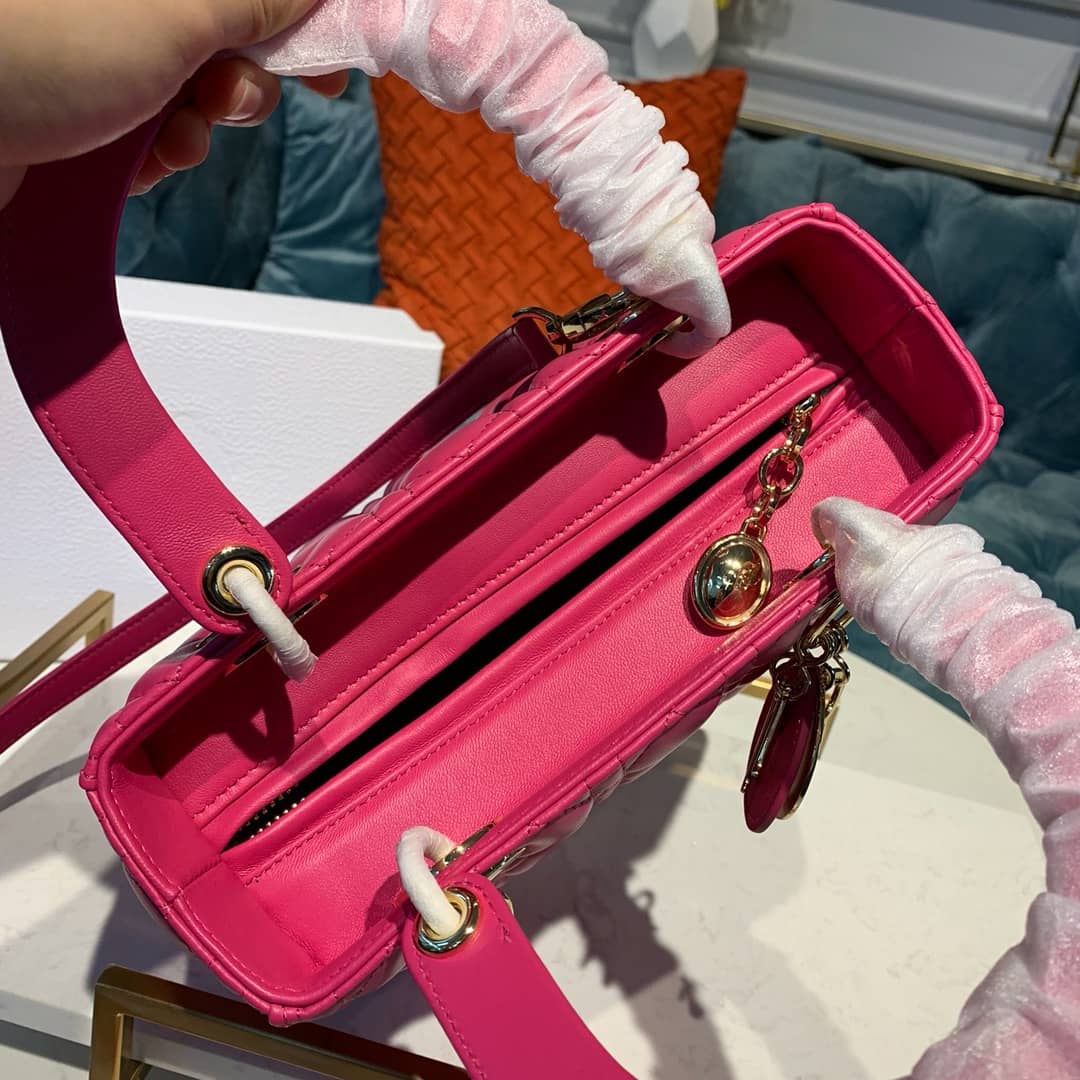Chr1st1an D10r Lady D10r 24CM Replica Bag