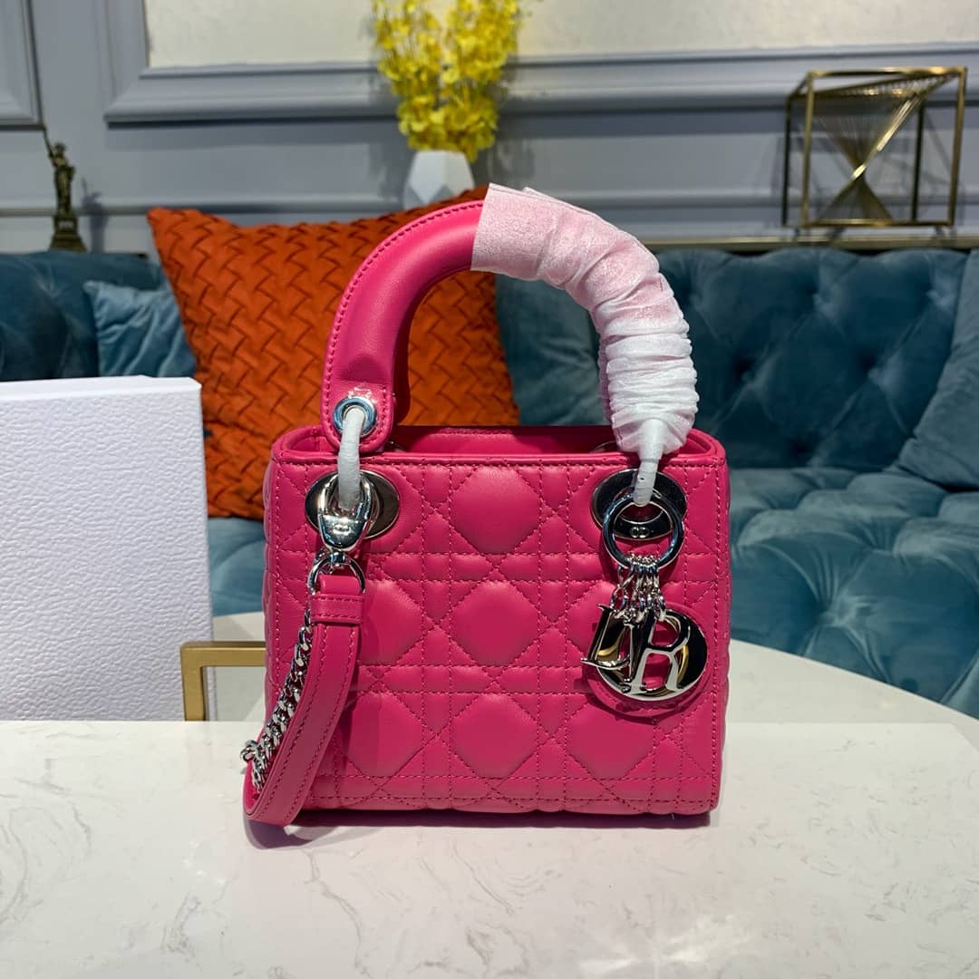 Chr1st1an D10r Lady D10r 17CM Replica Bag