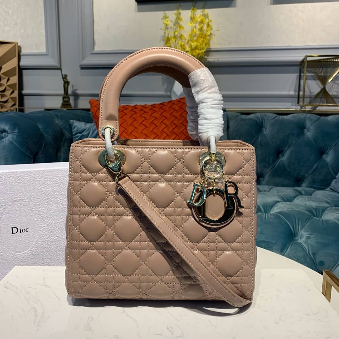 Chr1st1an D10r Lady D10r 24CM Replica Bag
