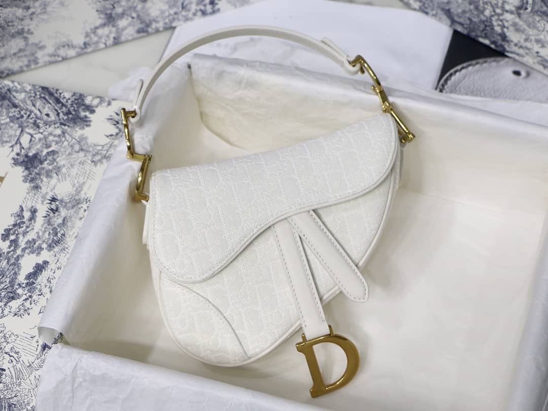 D10r Dupe Saddle Bag