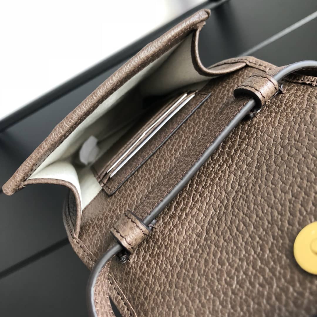 Gvc*1 Ophidia GG Mini Bag Replica Brown 625757