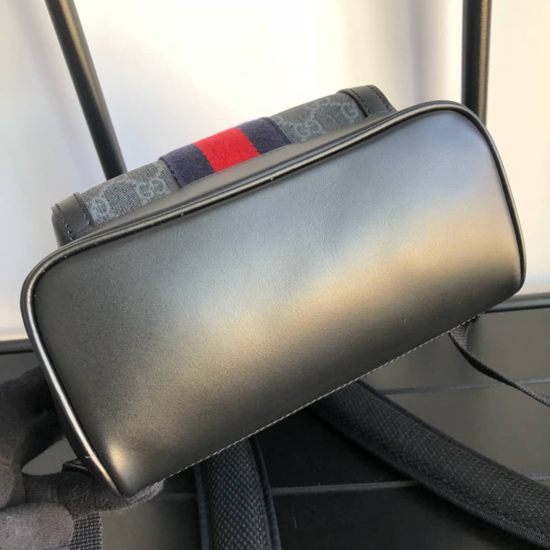 Gvc*1 Ophidia Flora Small GG Svp*me Canvas Replica Backpack Gray 547965