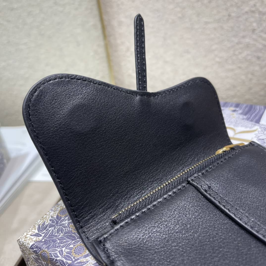 D10r Saddle Bag Dupe Vertical Pouch