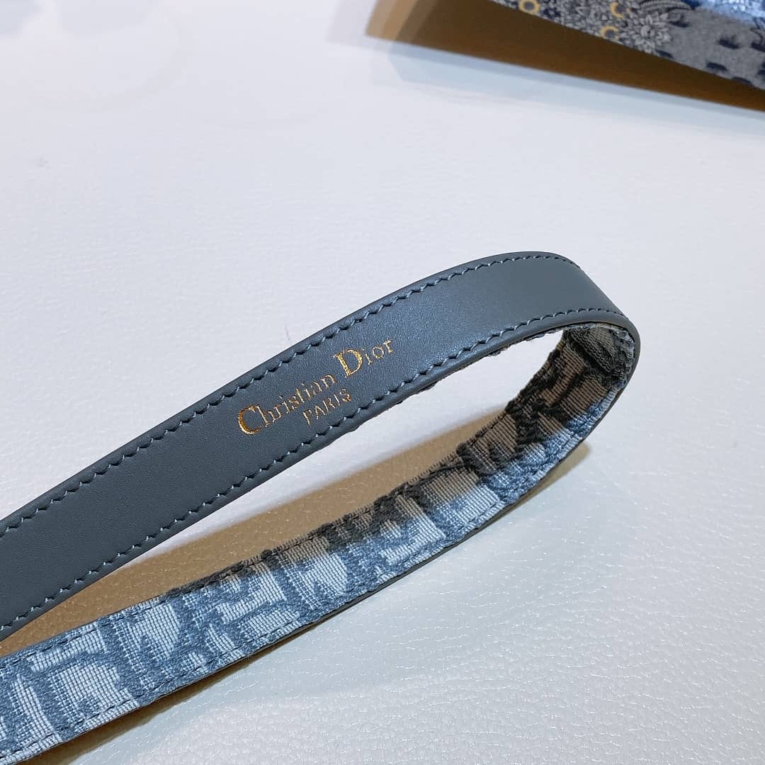 Best D10r Classic Belt 20mm For Lady