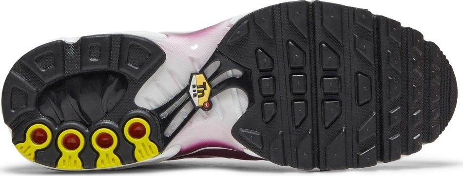 Air Max Plus GS  Dark Beetroot  CD0609-600