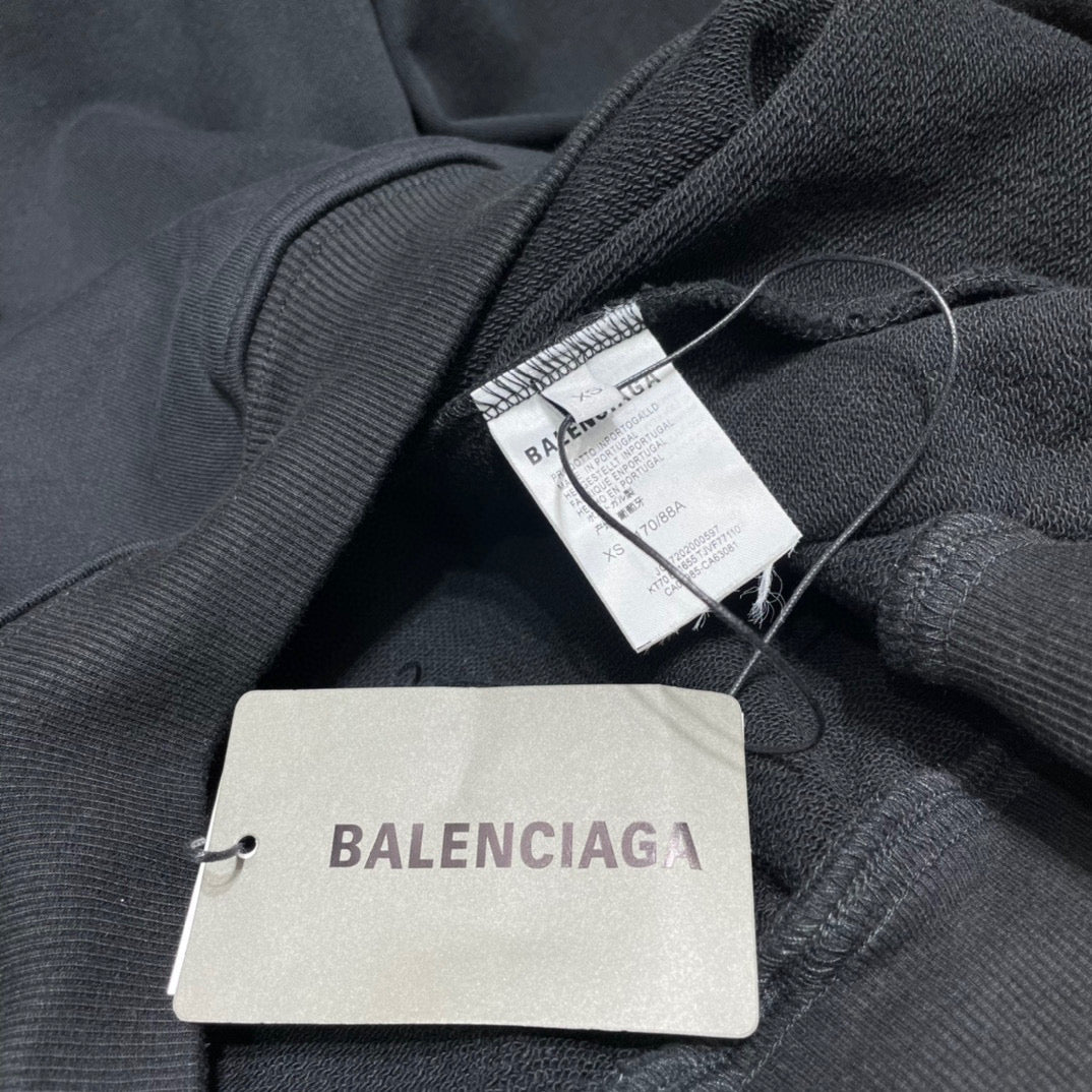 Ba1en*iaga Hoodie