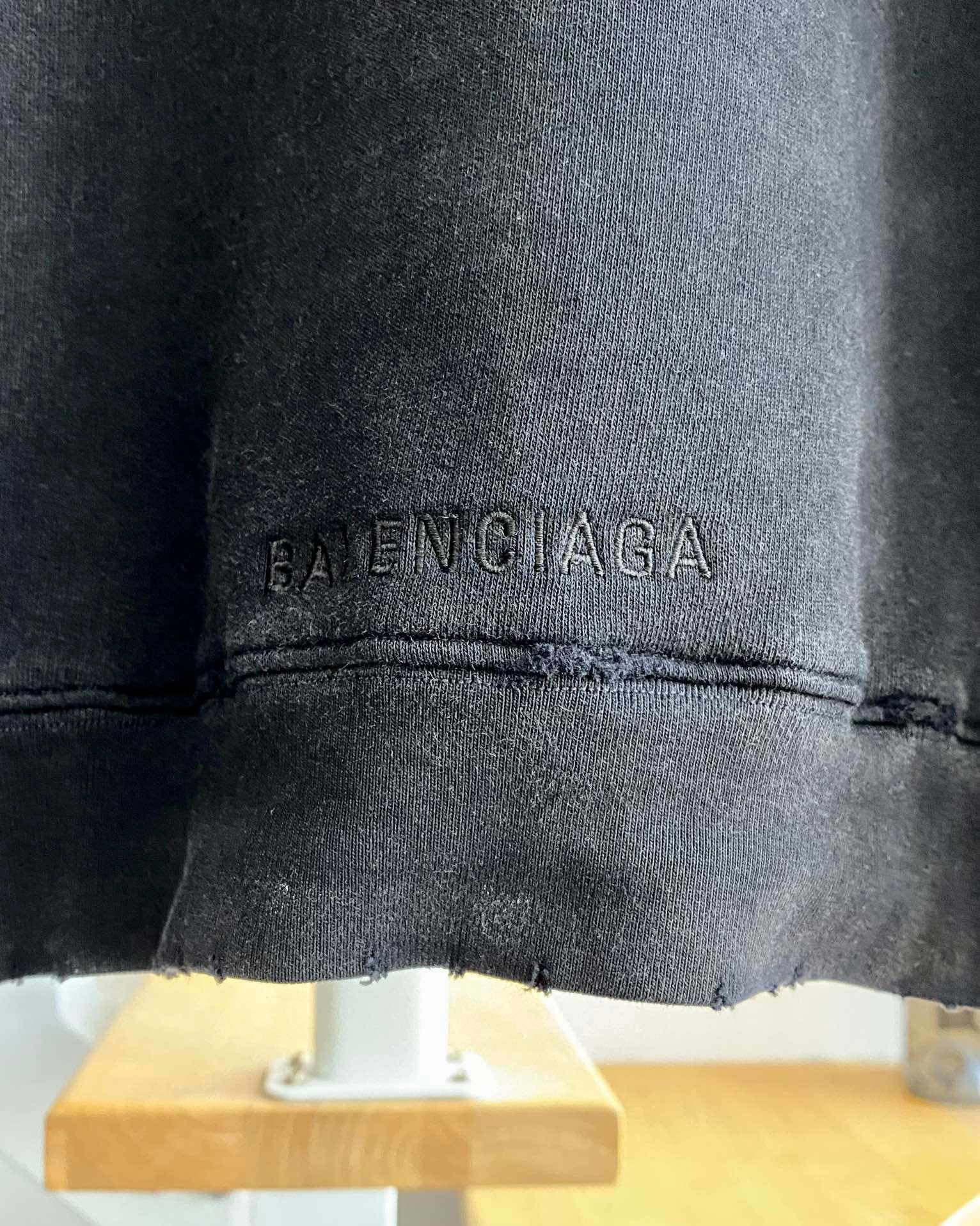 Ba1en*iaga Hoodie