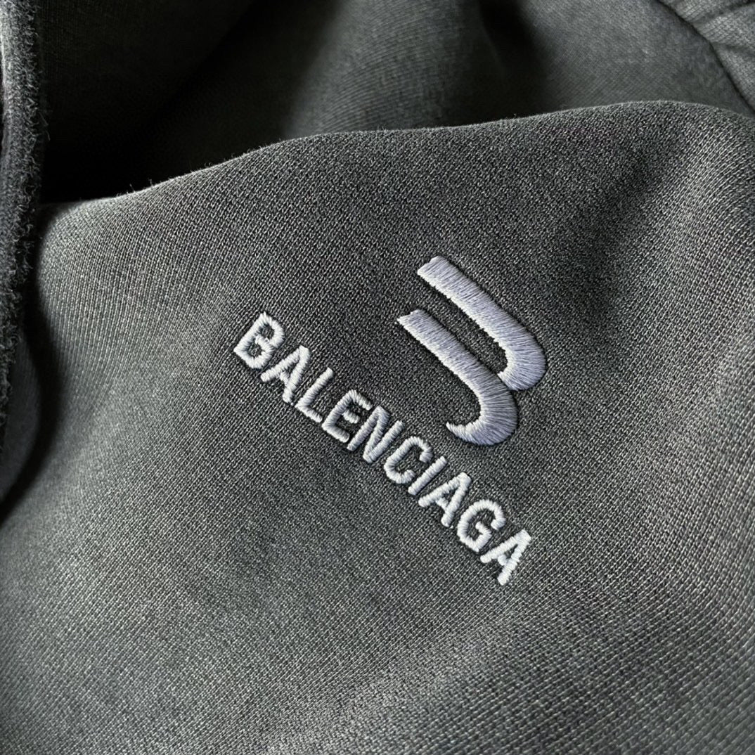 Ba1en*iaga Hoodie