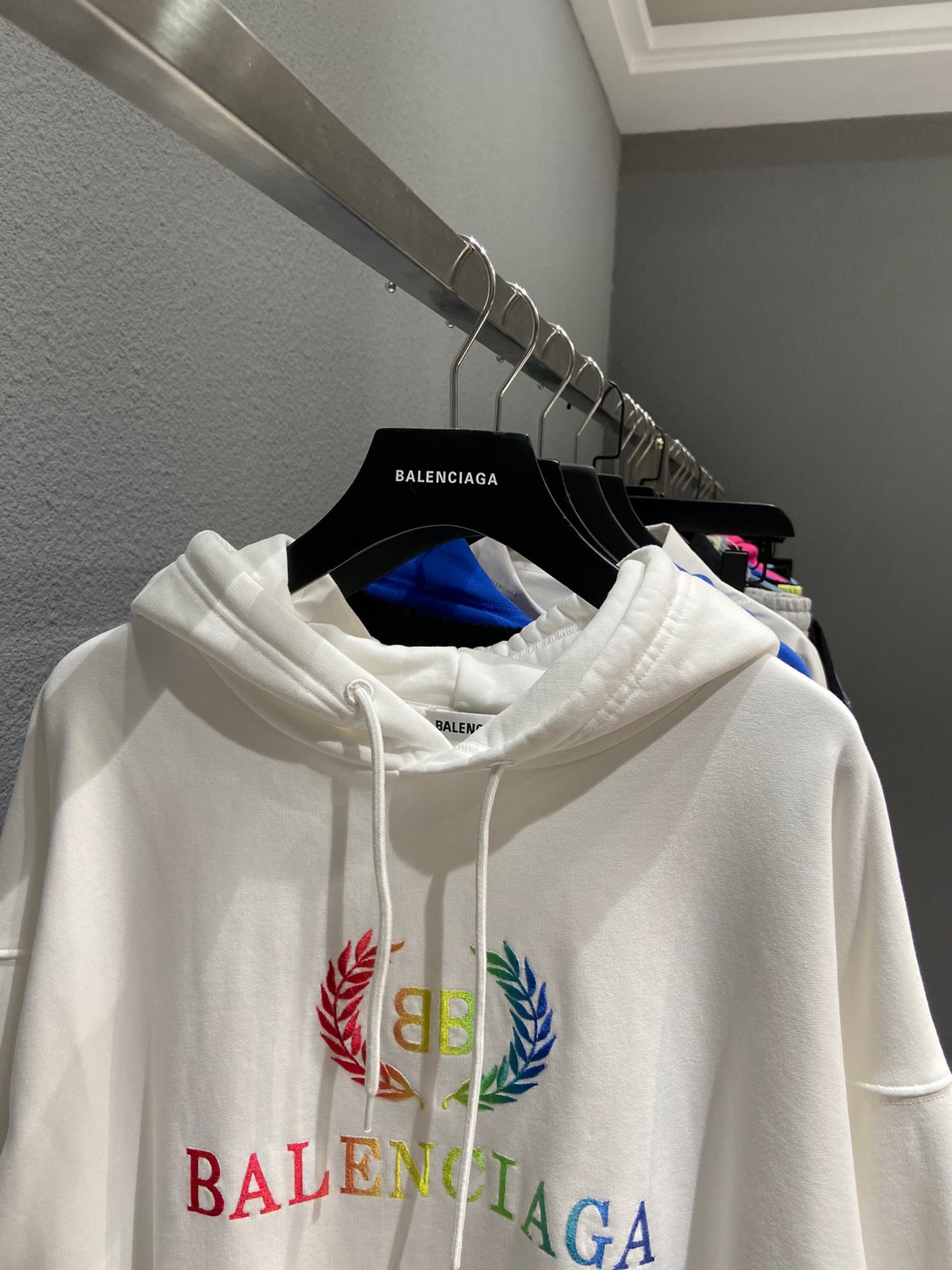 Ba1en*iaga Hoodie
