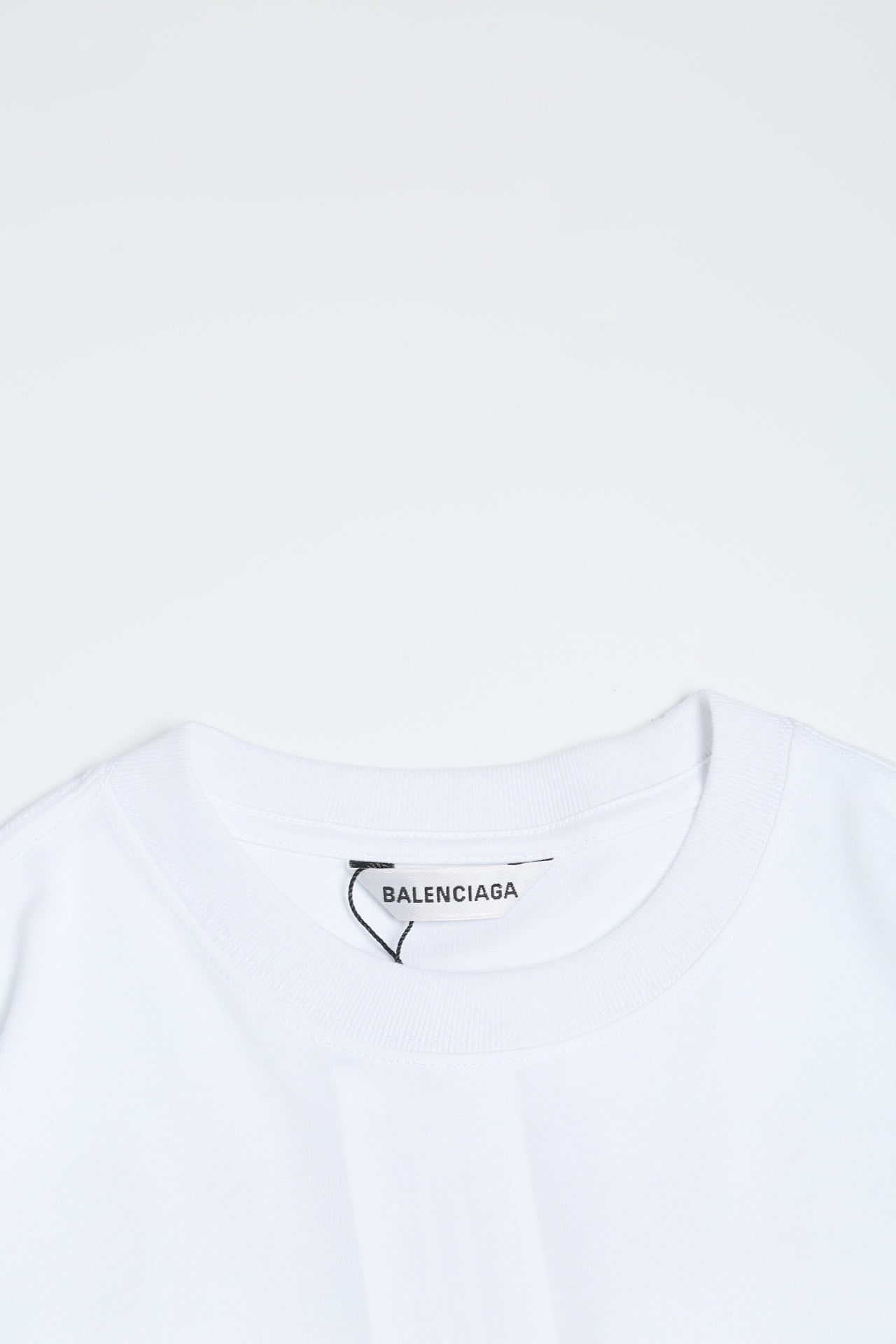 Ba1en*iaga T-shirt