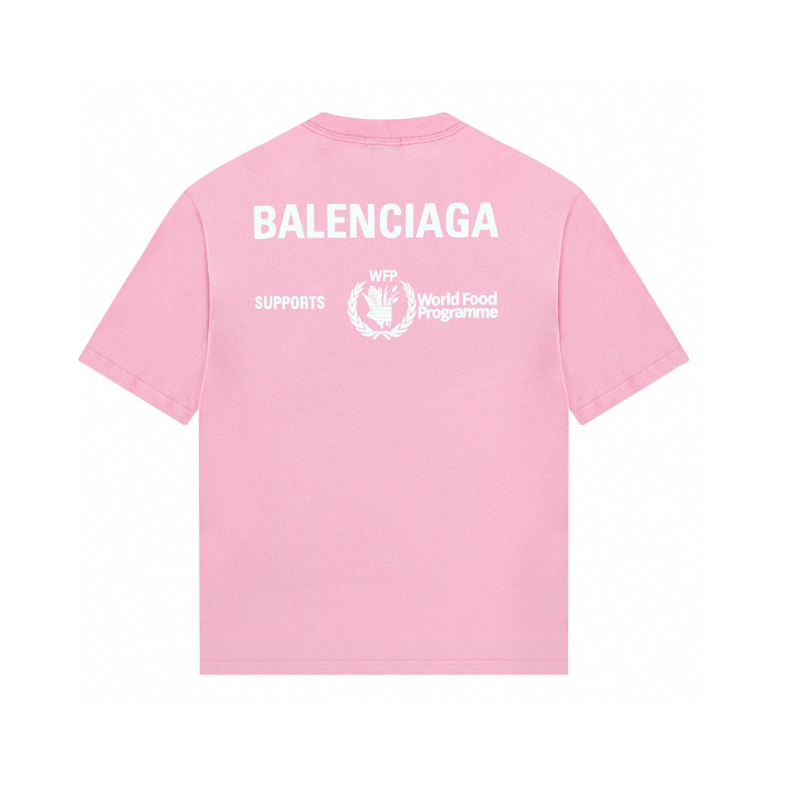 Ba1en*iaga T-shirt