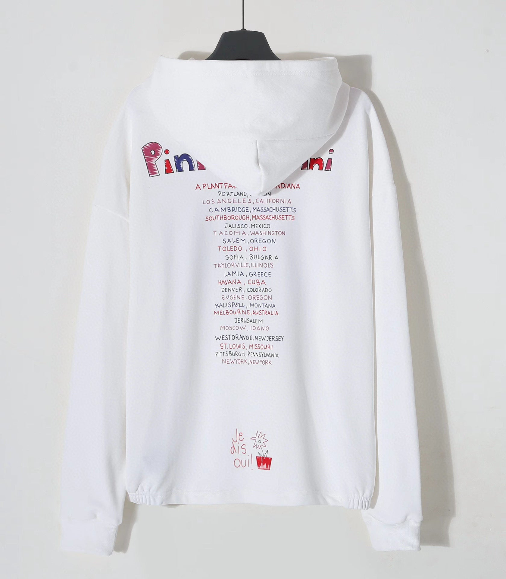 Ba1en*iaga Hoodie