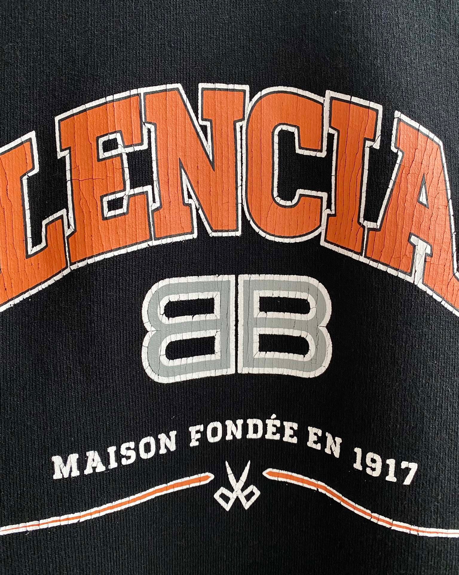 Ba1en*iaga Hoodie