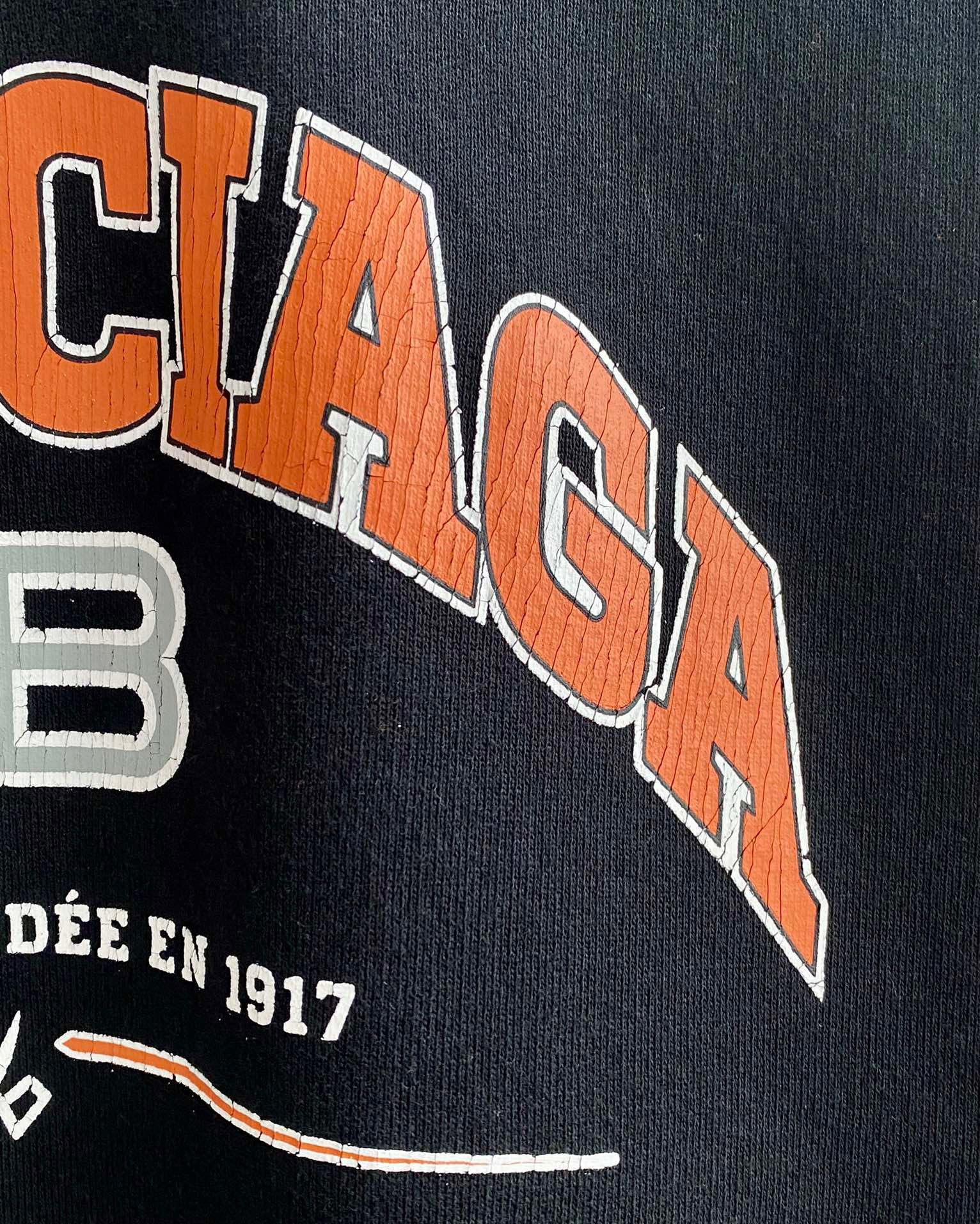 Ba1en*iaga Hoodie