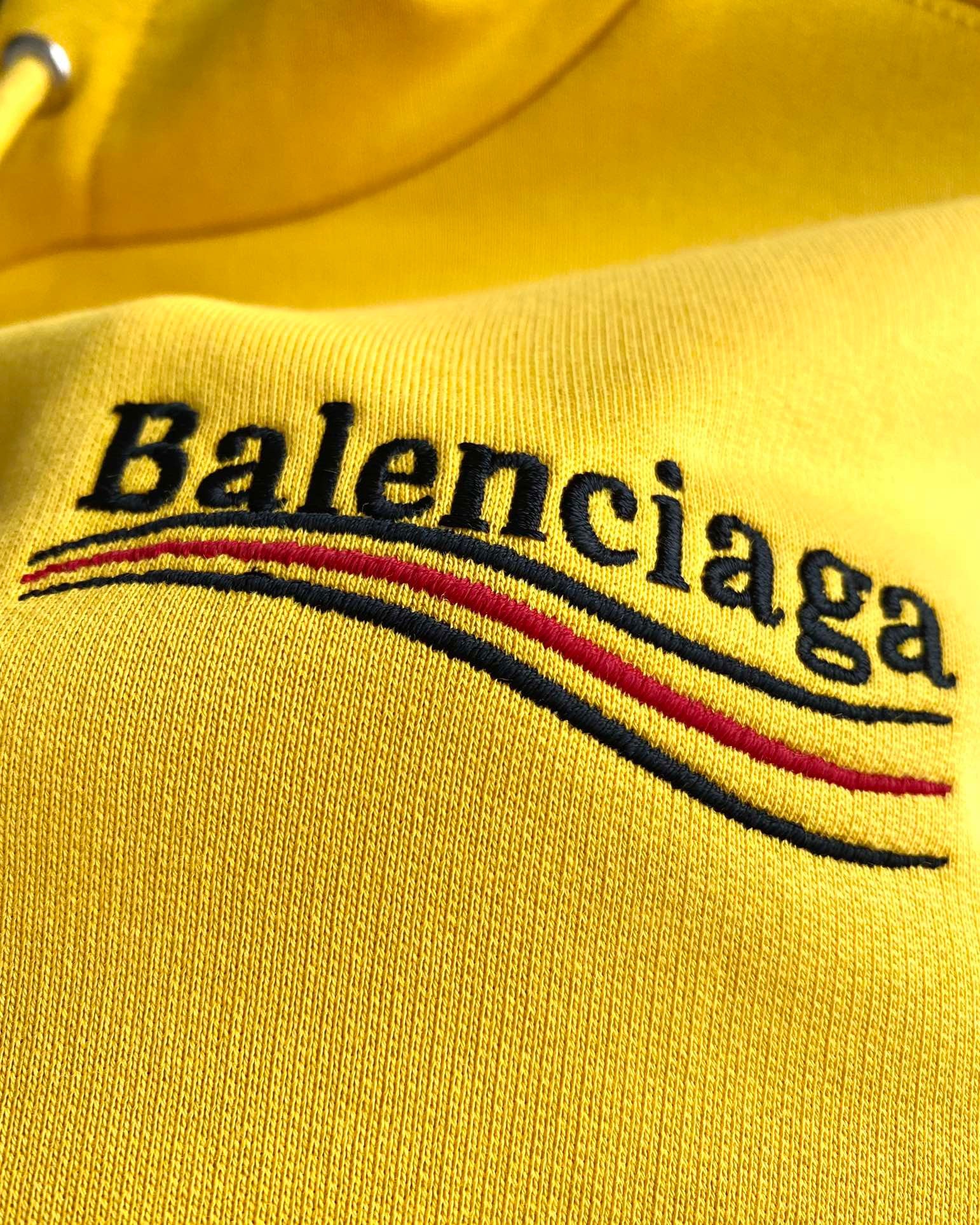 Ba1en*iaga Hoodie