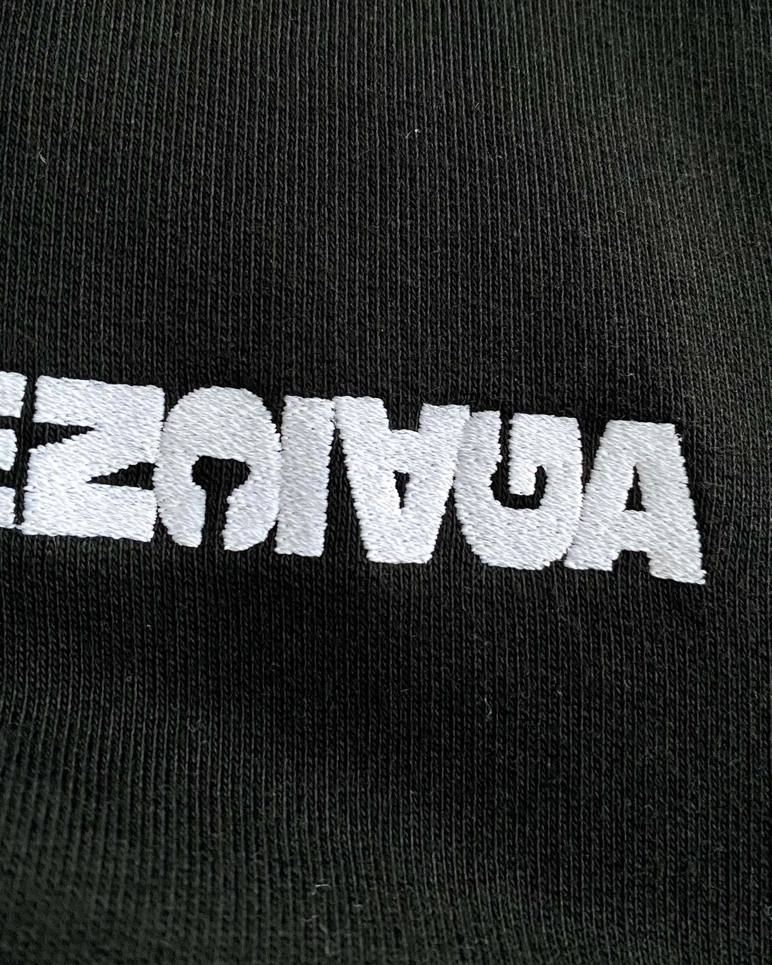 Ba1en*iaga Hoodie