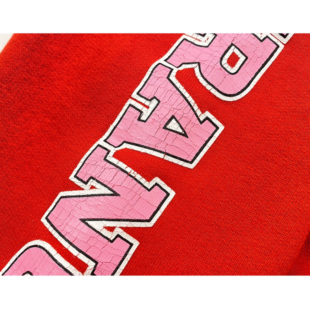 Ba1en*iaga Hoodie