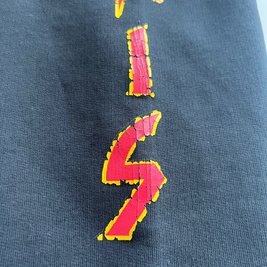 Ba1en*iaga Hoodie