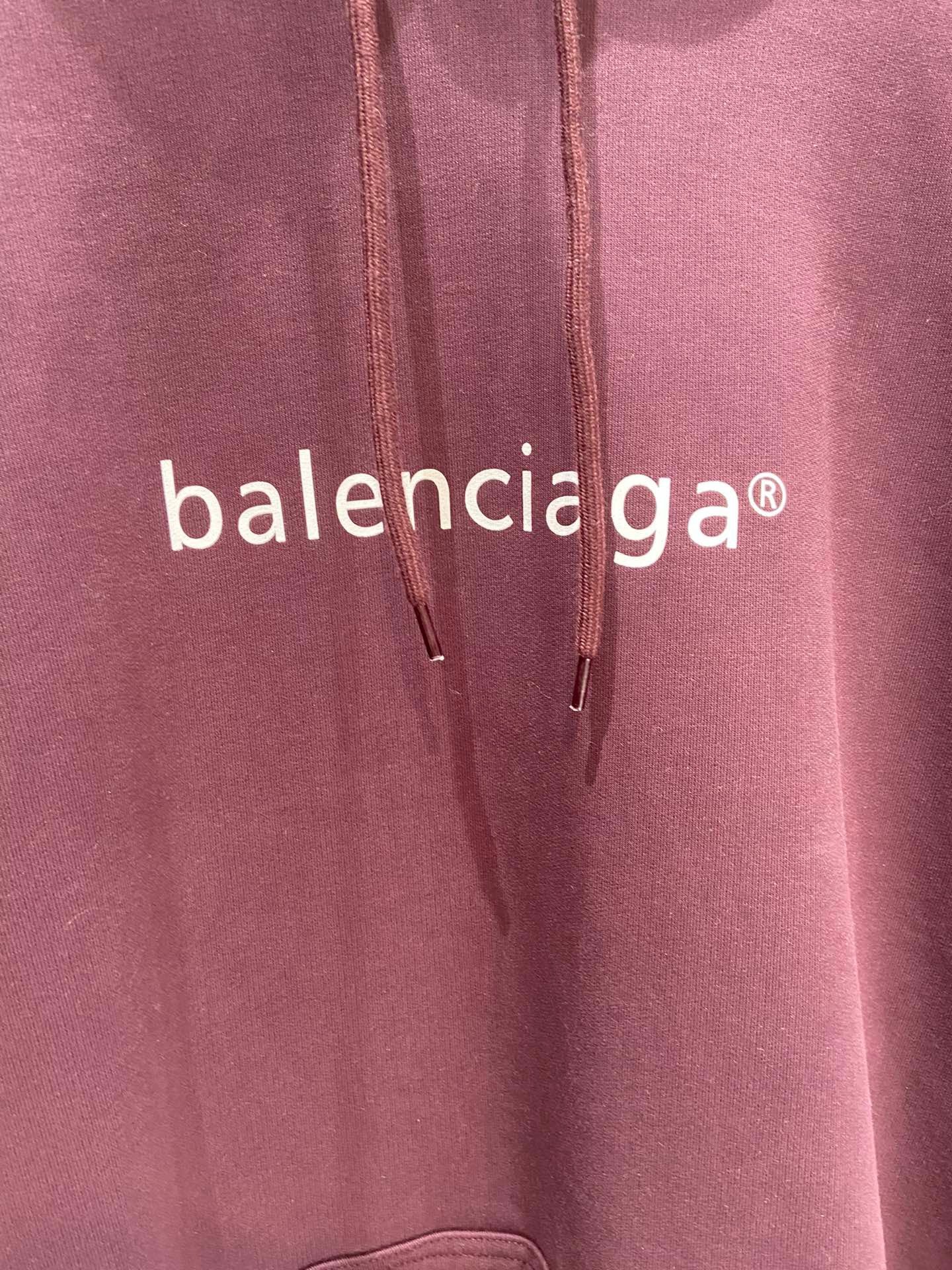 Ba1en*iaga Hoodie