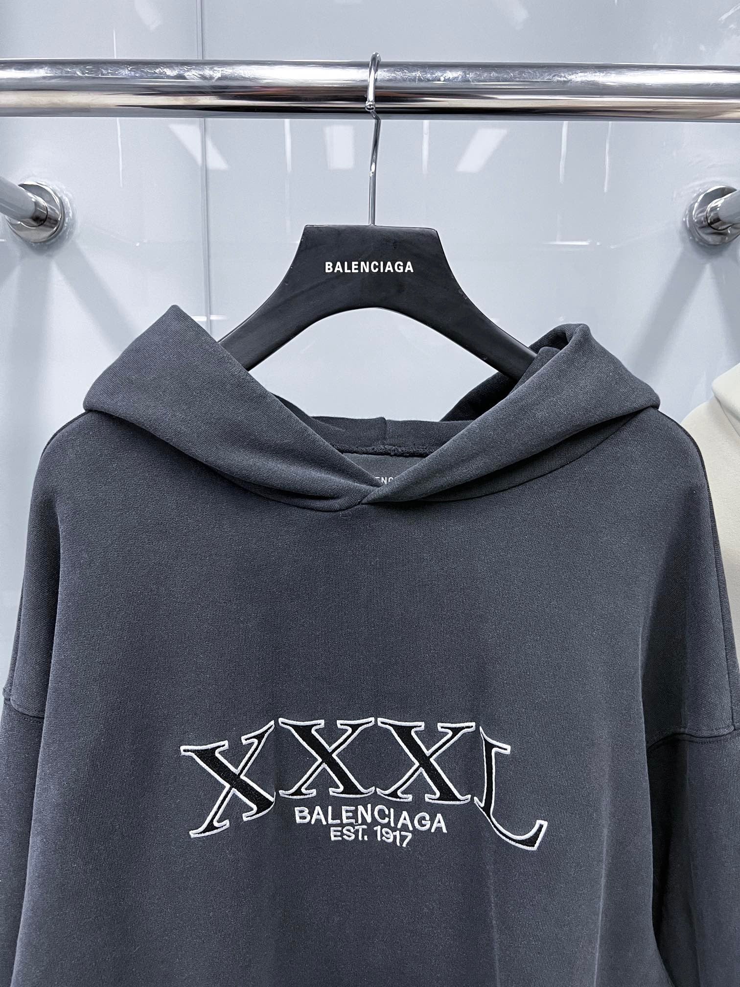 Ba1en*iaga Hoodie